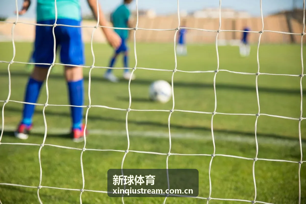 新球体育全球体育资讯年度报告封面